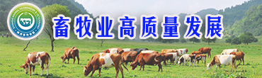 畜牧业高质量发展专栏